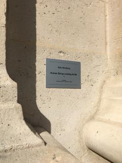 Pas d'aperçu